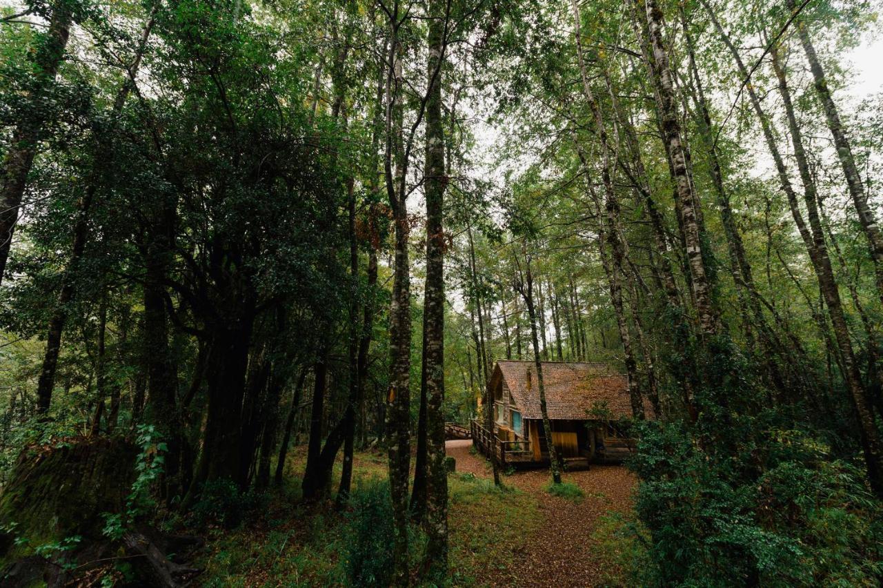 Huilo Huilo Cabanas Del Bosque Puerto Fuy Quarto foto